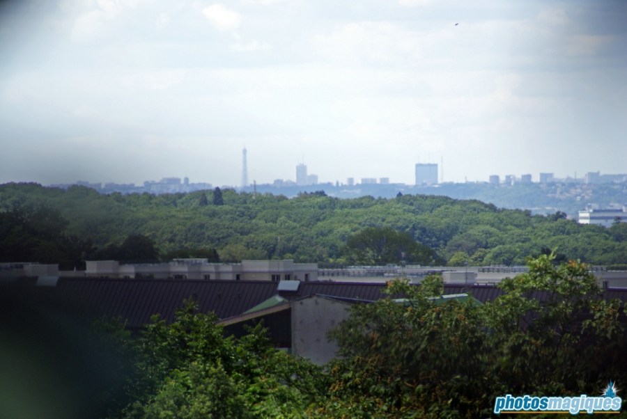 La Cabane des Robinson