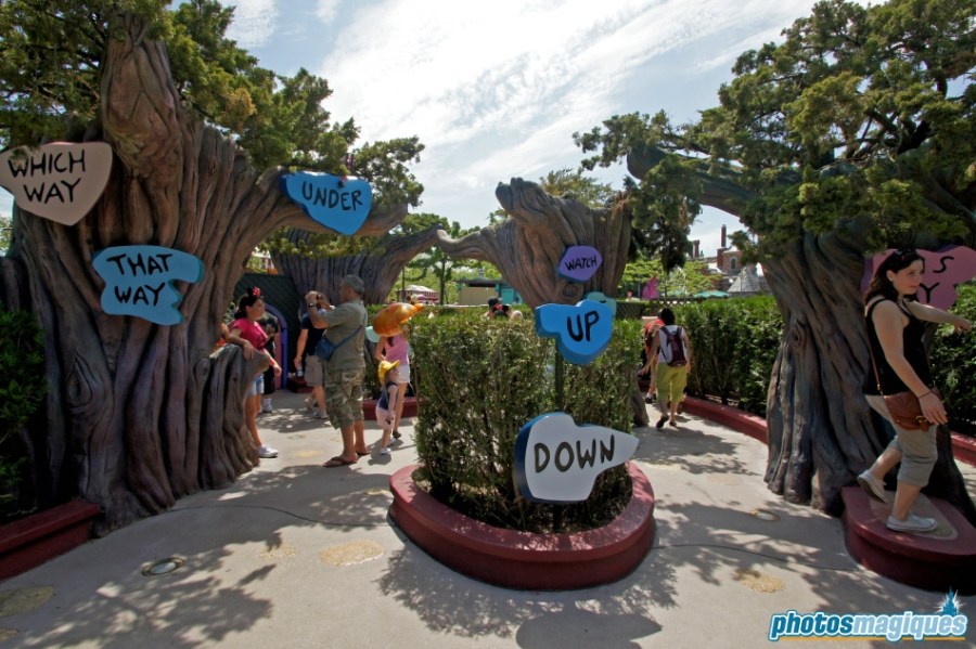 Alice's Curious Labyrinth