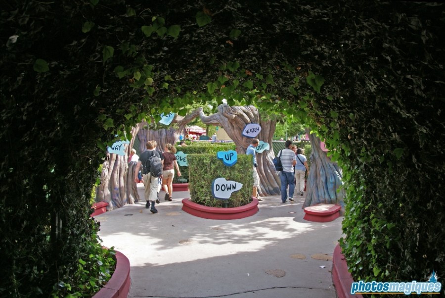 Alice's Curious Labyrinth