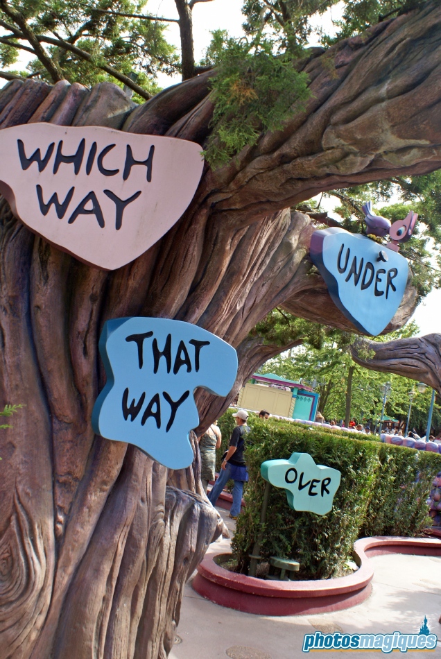 Alice's Curious Labyrinth