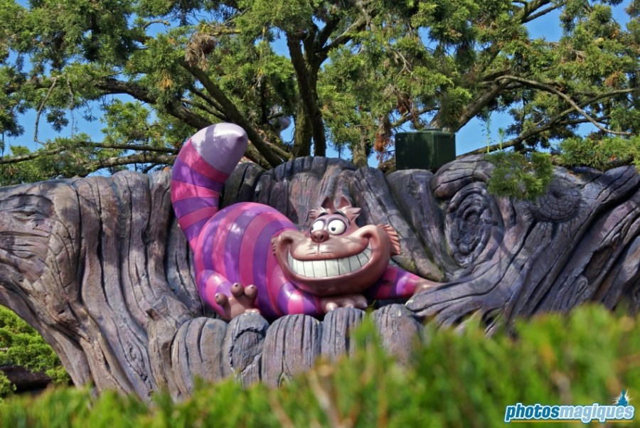 Alice's Curious Labyrinth