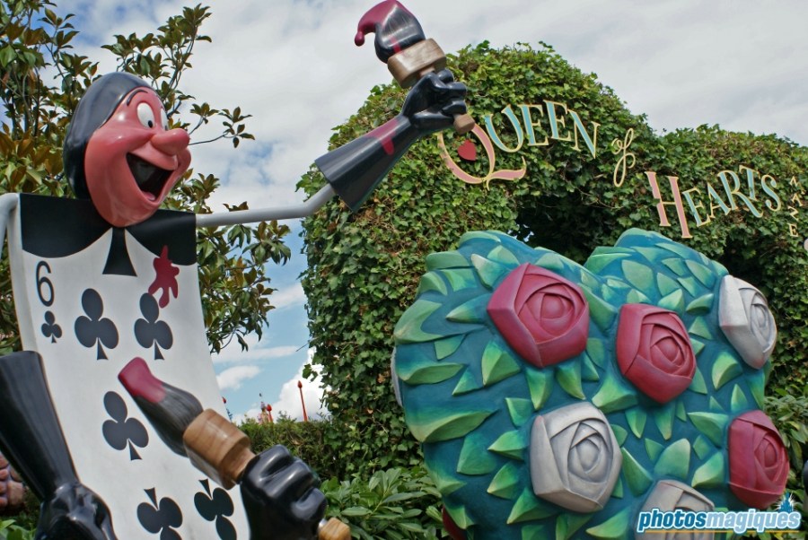 Alice's Curious Labyrinth