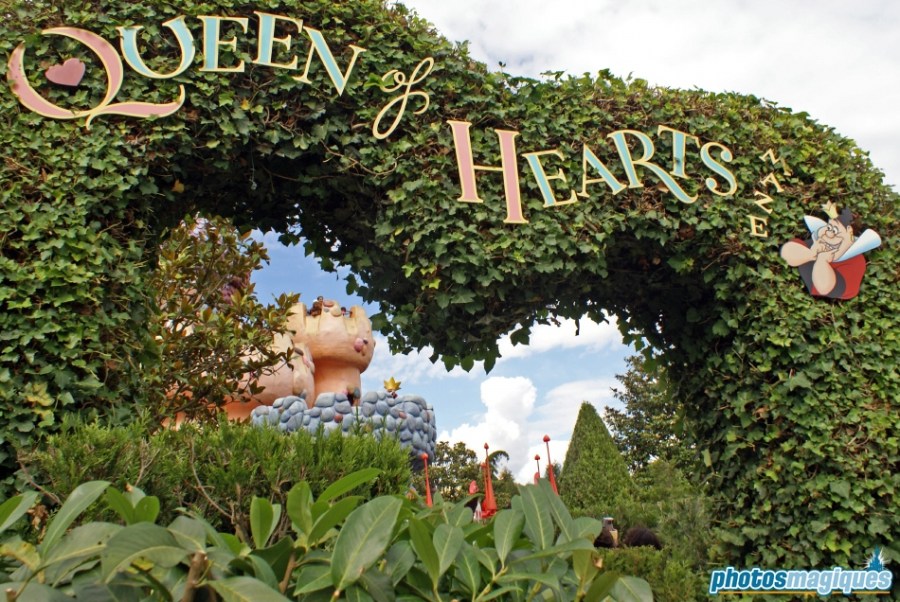 Alice's Curious Labyrinth