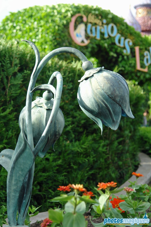 Alice's Curious Labyrinth