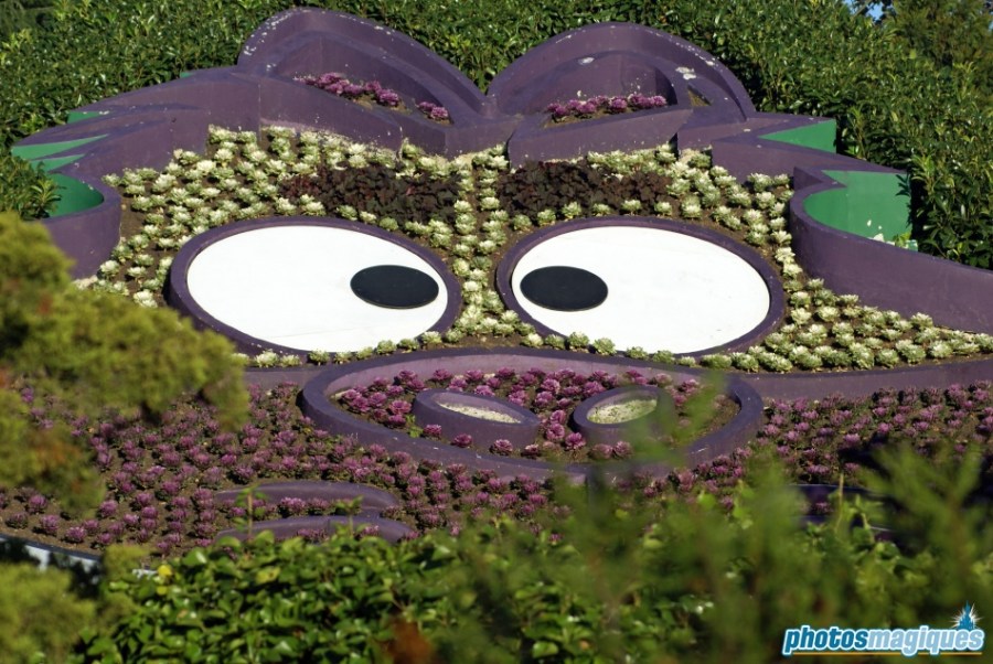 Alice's Curious Labyrinth