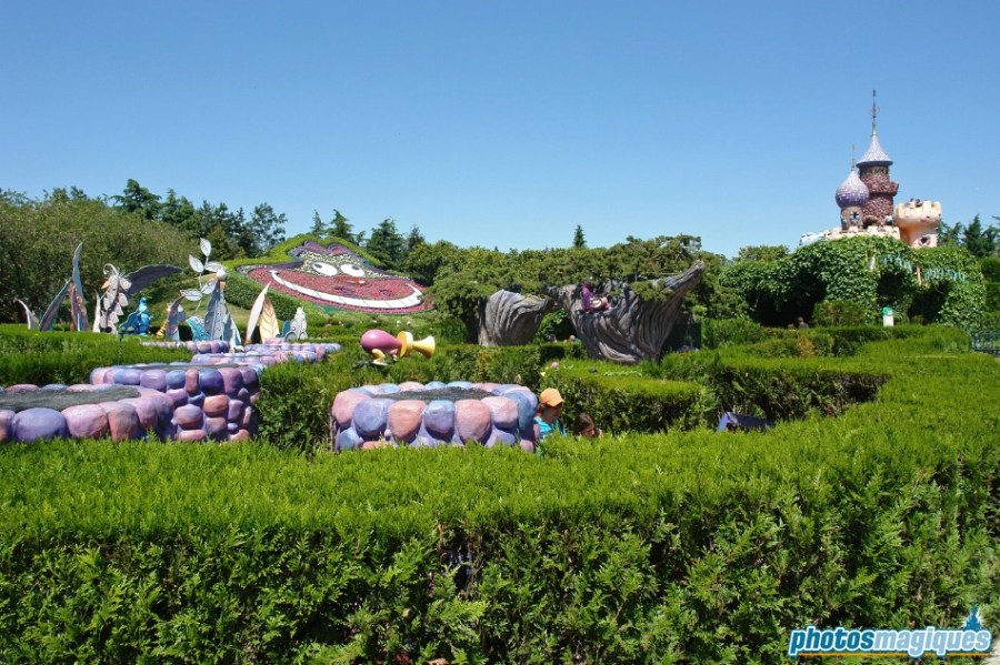 Alice's Curious Labyrinth