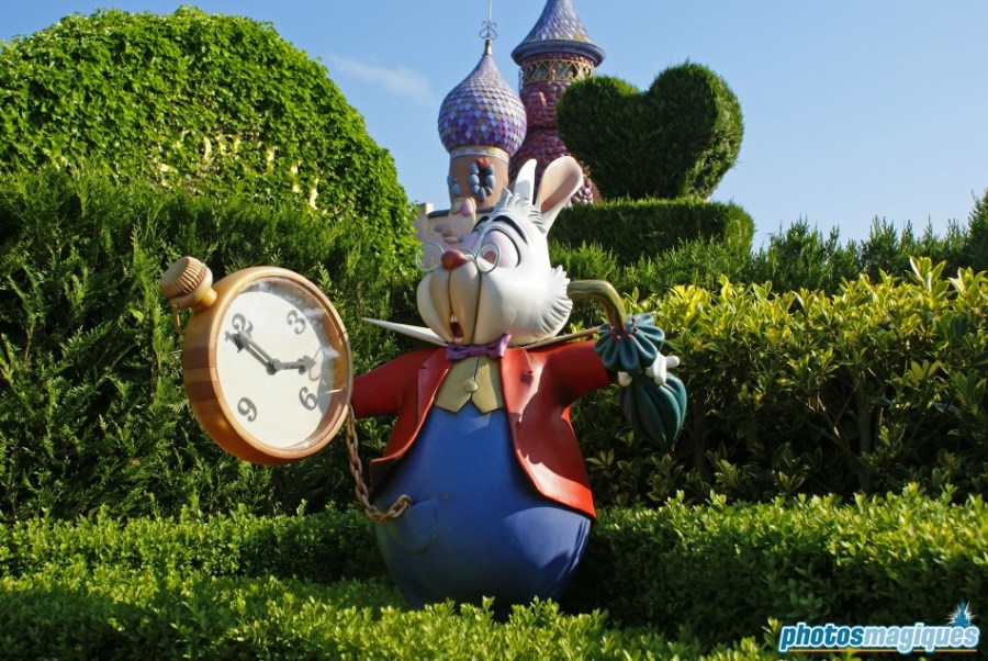 Alice's Curious Labyrinth