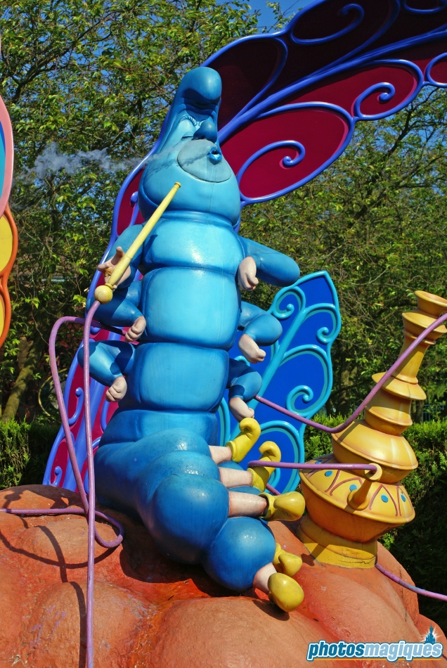 Alice's Curious Labyrinth