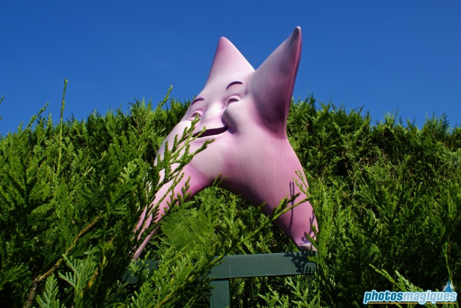 Alice's Curious Labyrinth