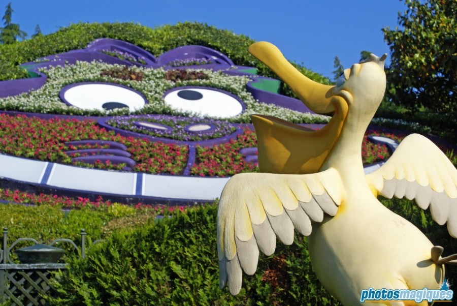 Alice's Curious Labyrinth