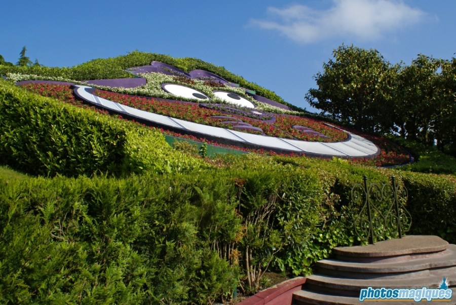 Alice's Curious Labyrinth