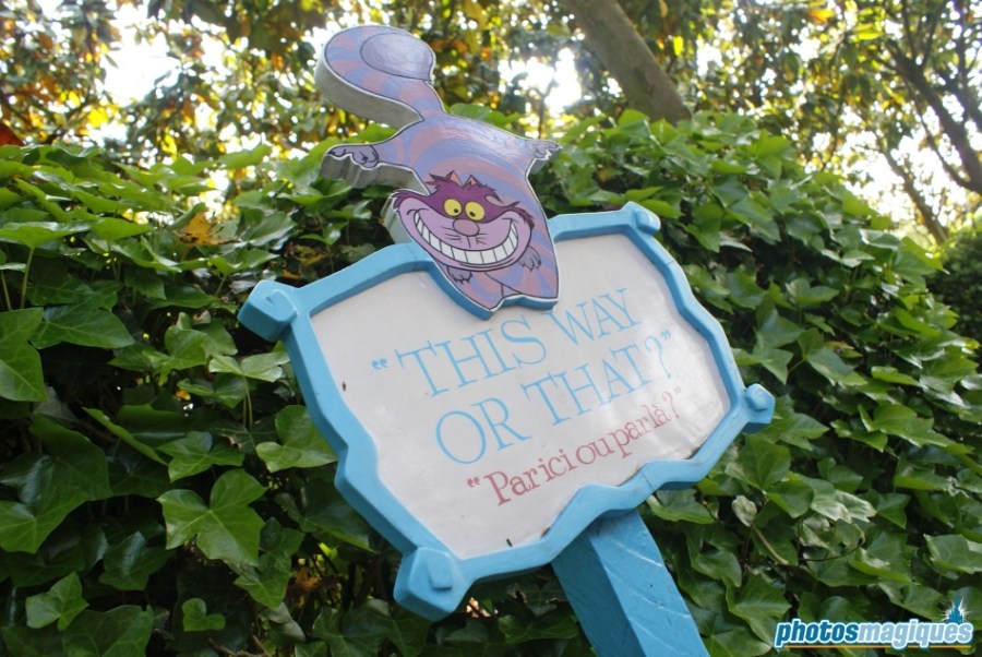 Alice's Curious Labyrinth