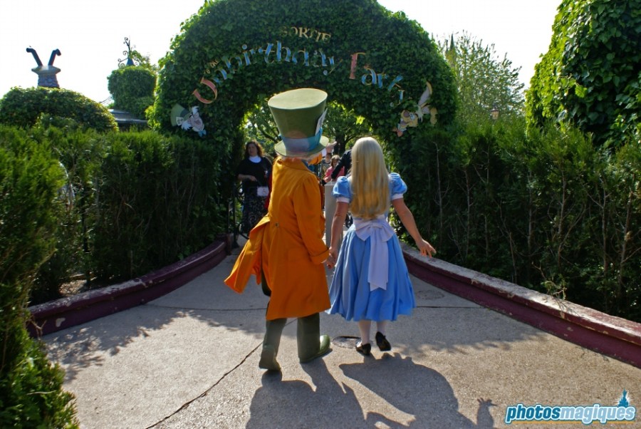 Alice's Curious Labyrinth