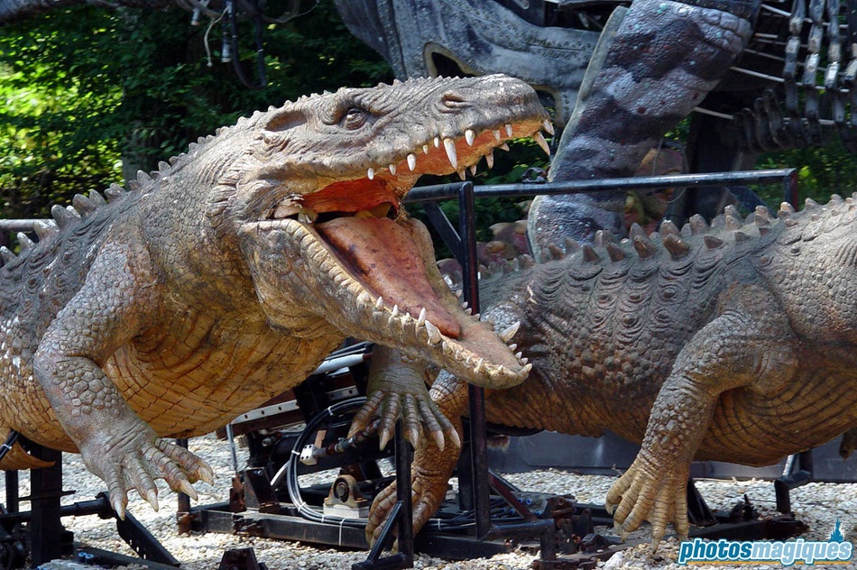 Studio Tram Tour Behind the Magic – Photos Magiques