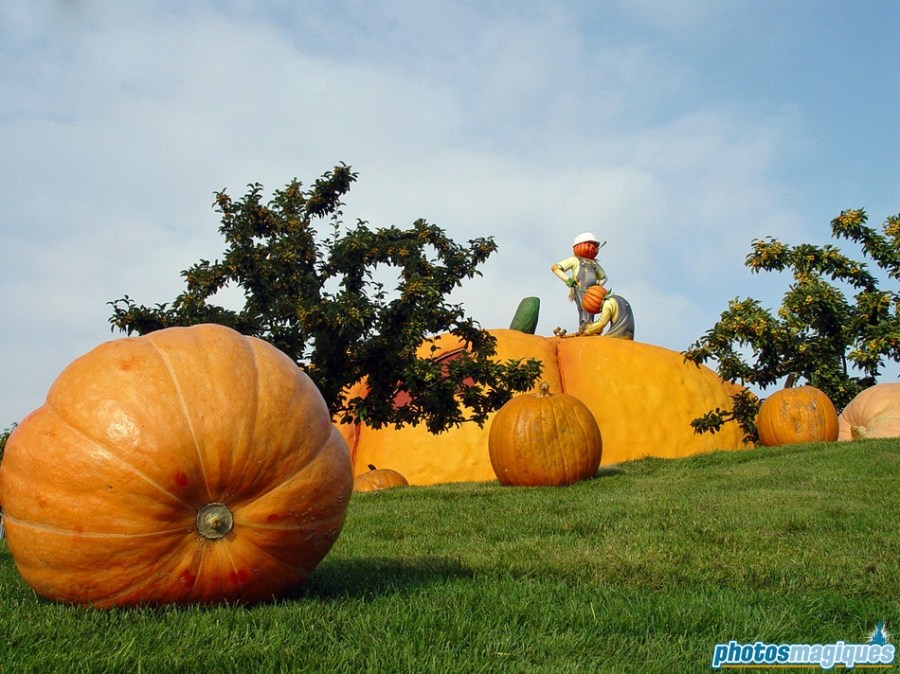 This joly team of Pumpkin Men painters sneak their way out Halloween Land, rolling a humongous pumpkin onto Central Plaza.