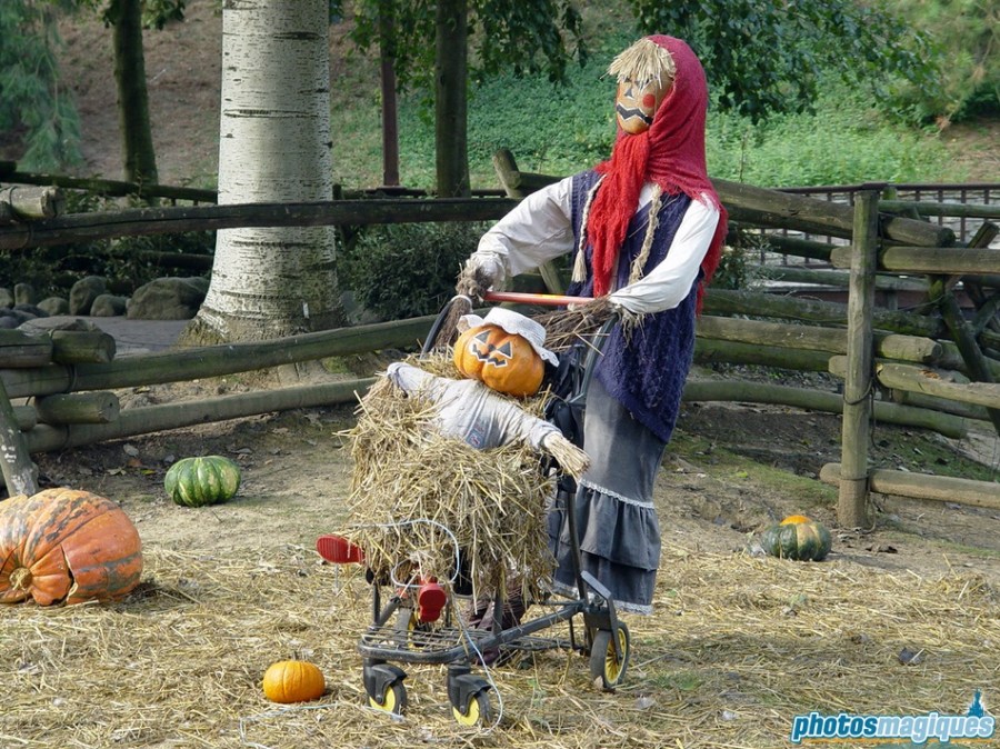 The friendly scarecrows nurture the patch