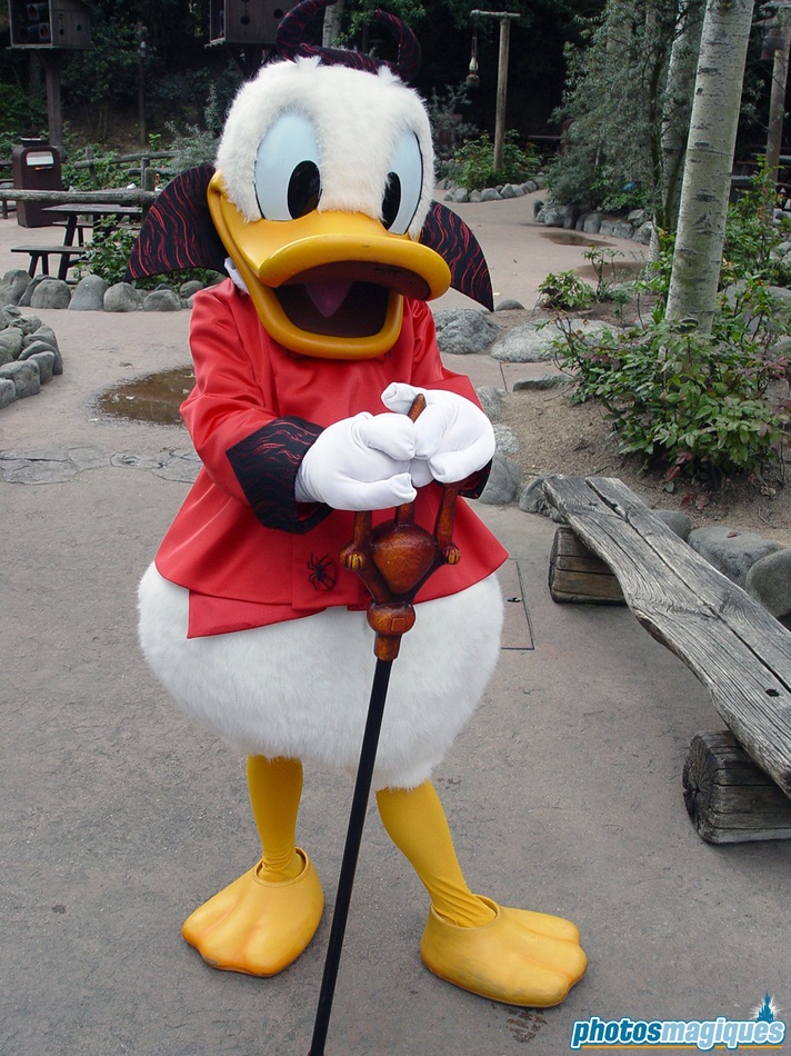 2004: Donald Duck