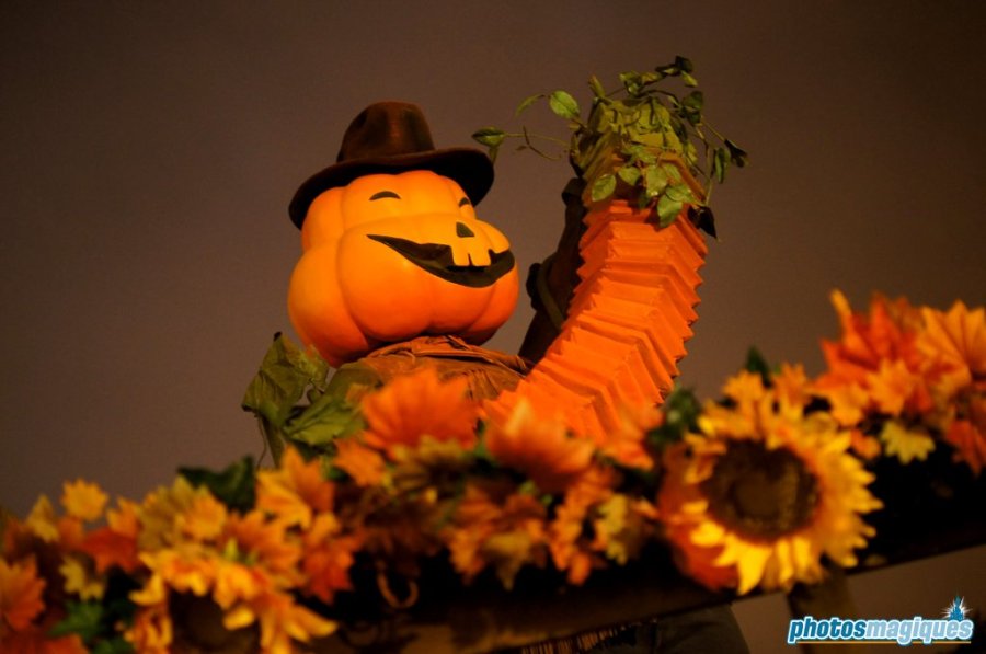 Disney's Halloween Festival 2013