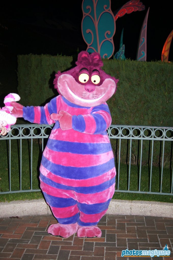 Disney's Halloween Party 2013