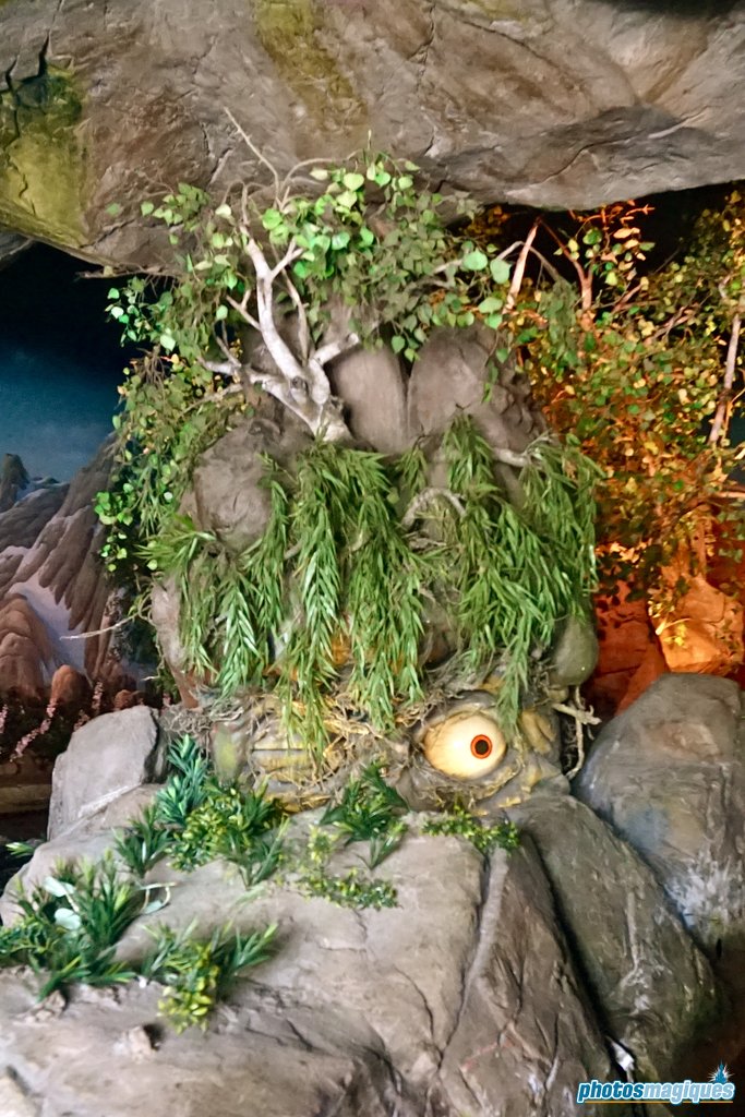 Walt Disney World: Maelstrom