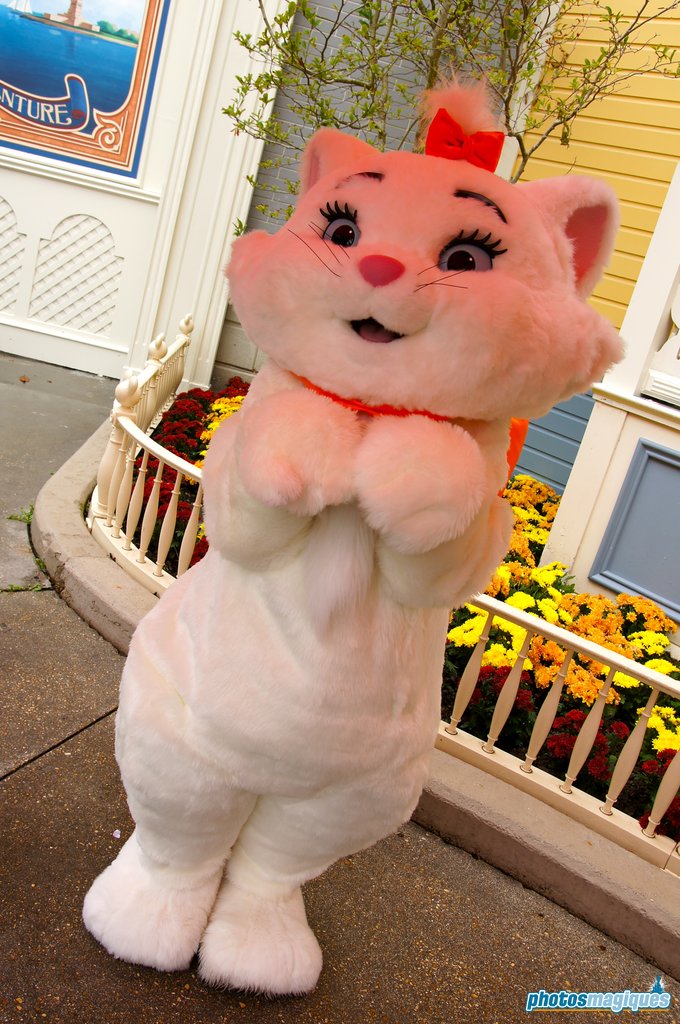 Disney's Halloween Festival 2014 at Disneyland Paris