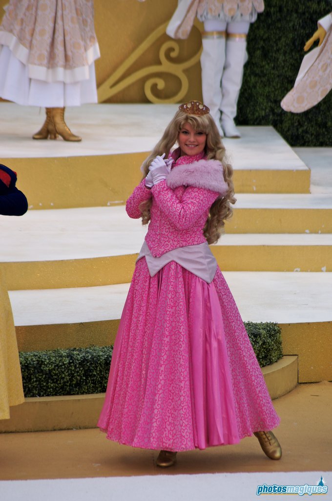 Disney's Enchanted Christmas 2014