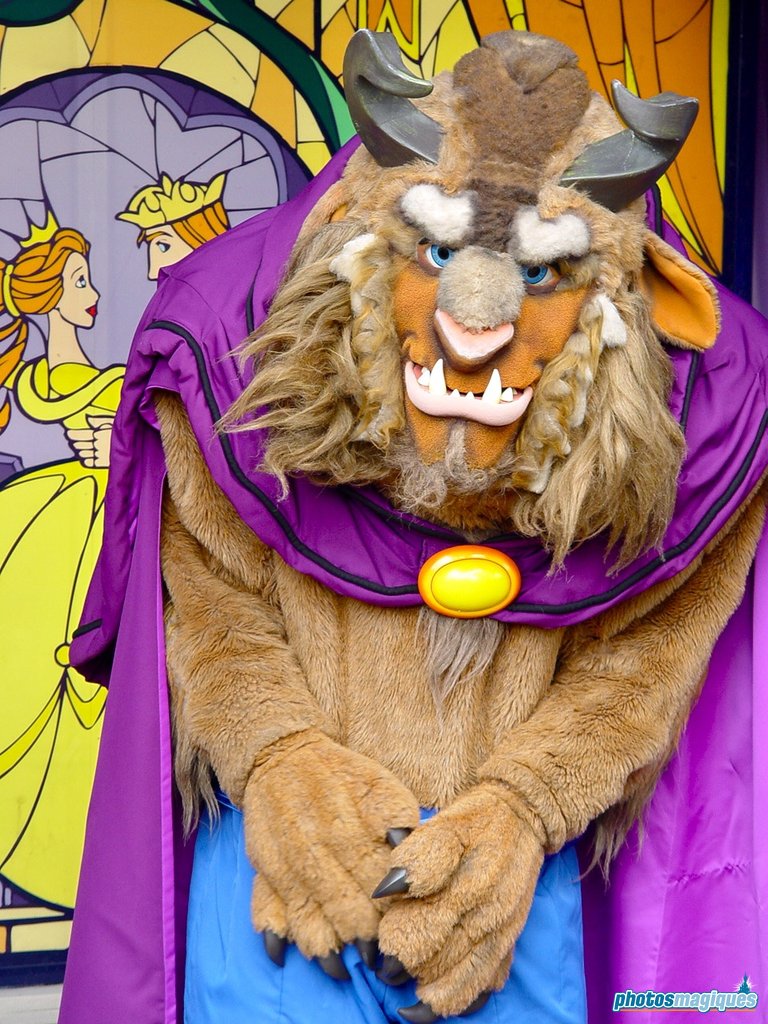 Belle's Christmas Village