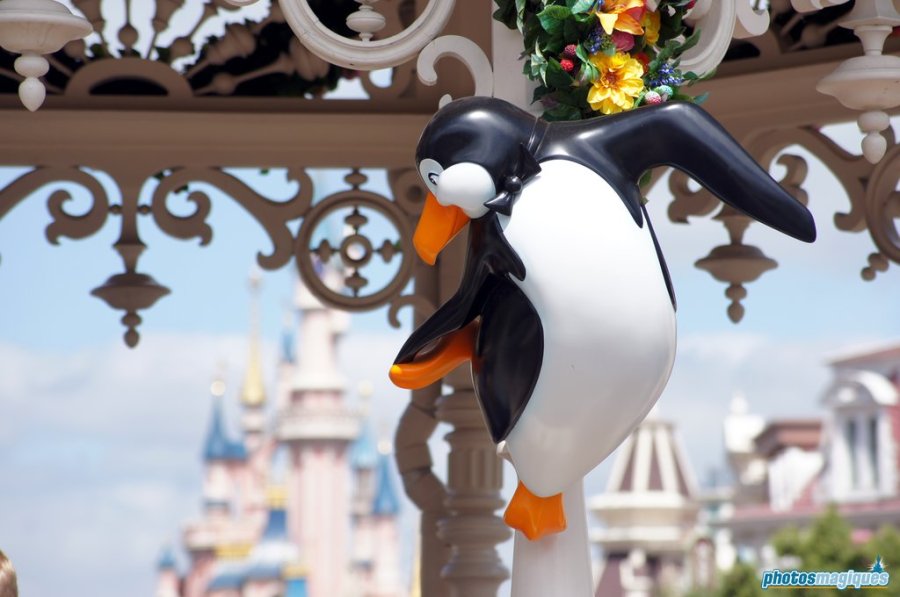 Swing into Spring 2014