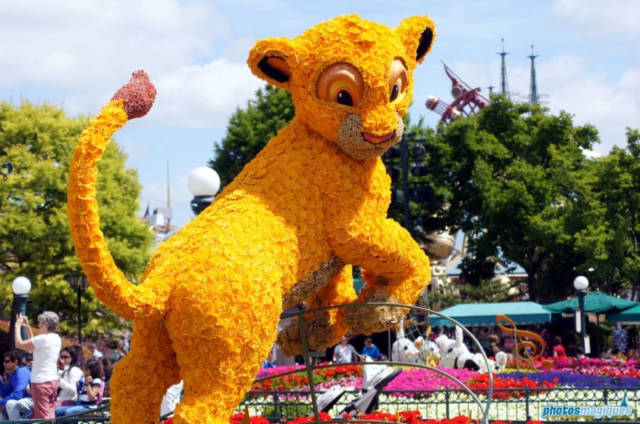 Swing into Spring 2014