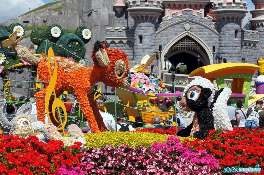 Swing into Spring 2014