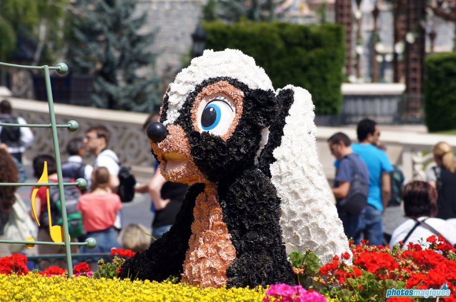 Swing into Spring 2014