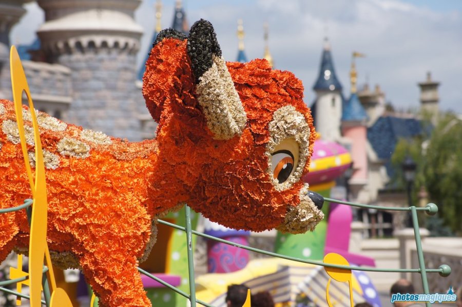 Swing into Spring 2014