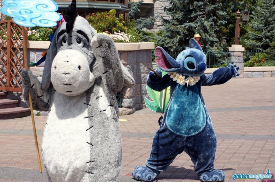 Swing into Spring 2014