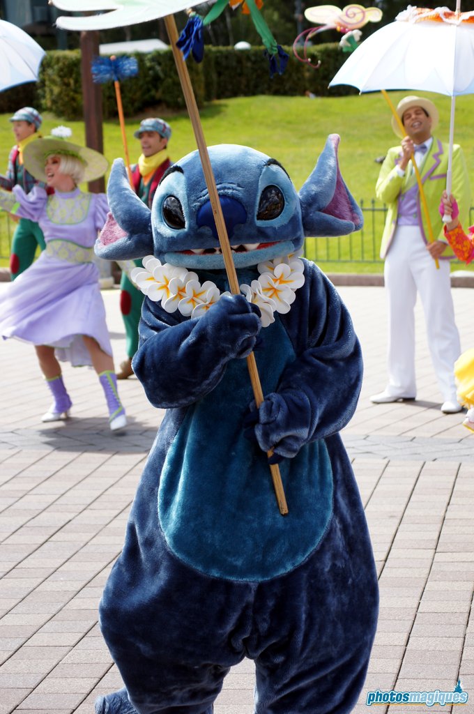 Swing into Spring 2014