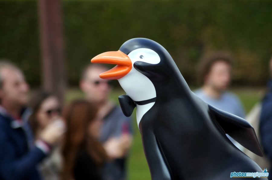 Swing into Spring 2014