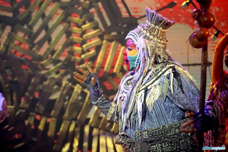 Mickey and the Magician